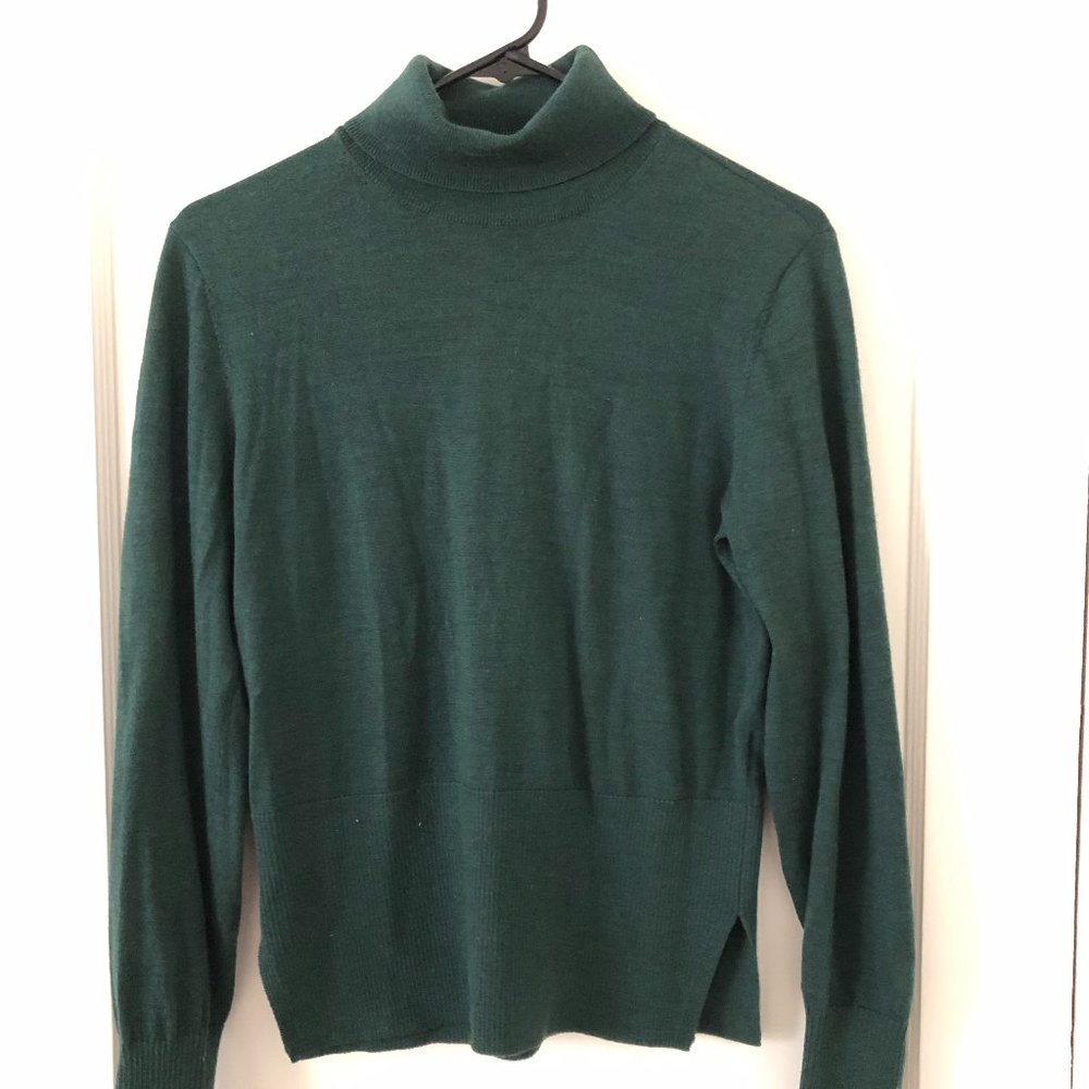 Everlane Green Wool Turtleneck